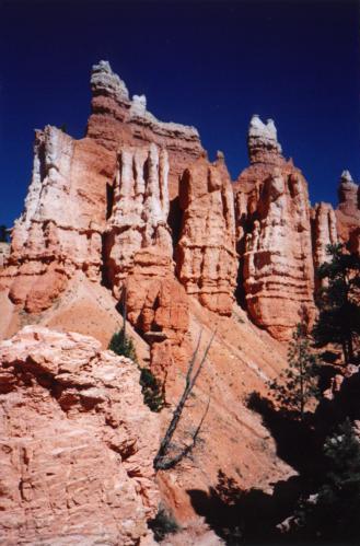 down in Bryce Canyon