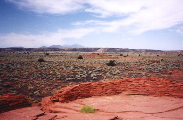 lookin out on the morning rain